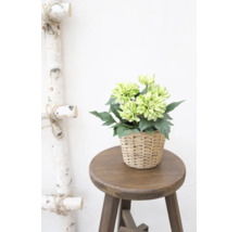 Kunstmatige dahlia in een gevlochten mand op een houten kruk naast een decoratieve berkenladder.