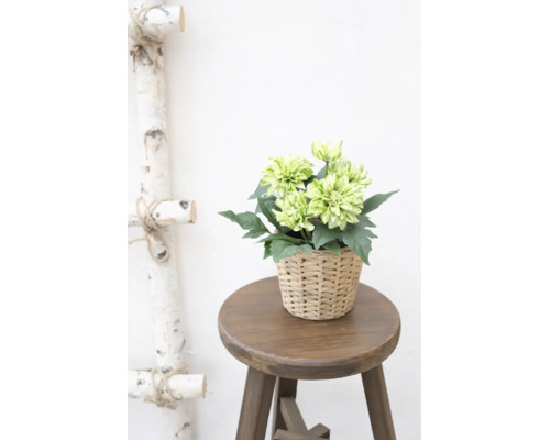 Kunstmatige dahlia in een gevlochten mand op een houten kruk naast een decoratieve berkenladder.
