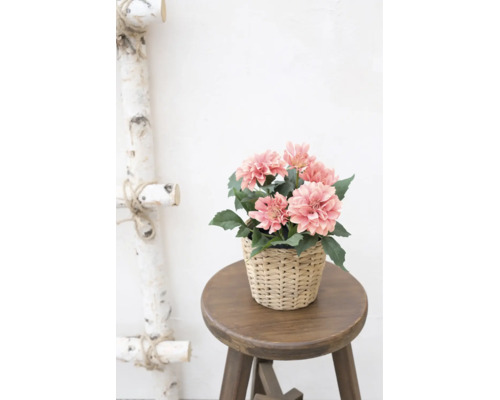 Kunstmatige dahlia's in een gevlochten mand op een houten kruk in een lichte kamer naast een decoratieve berkenladder.