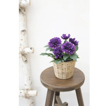 Kunstmatige paarse bloemen in een gevlochten mand op een houten krukje naast een decoratieve ladder van berkenhout.