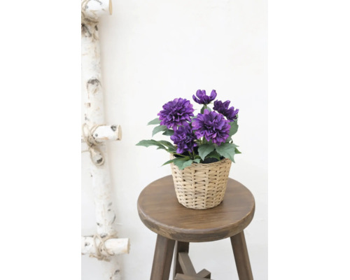 Kunstmatige paarse bloemen in een gevlochten mand op een houten krukje naast een decoratieve ladder van berkenhout.