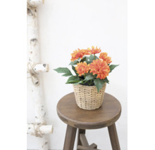 Kunstmatige oranje dahlia's in een gevlochten pot op een ronde houten kruk.