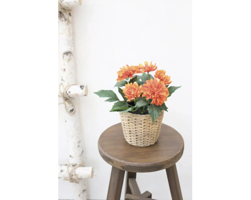 Kunstmatige oranje dahlia's in een gevlochten pot op een ronde houten kruk.