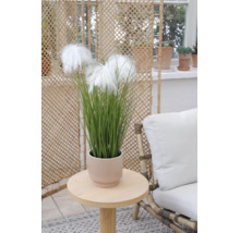 Kunstgras met witte pluimen in een geribbelde pot op een houten bijzetttafel in een lichte woonruimte.
