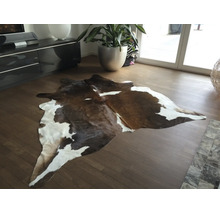 Natuurlijk bruin-wit vloerkleed van koeienhuid op houten vloer in een lichte, moderne woonkamer met grote plant.