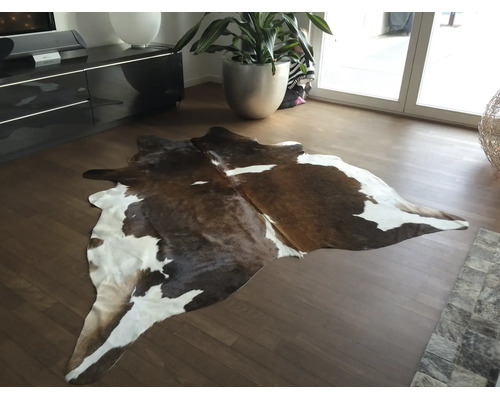 Natuurlijk bruin-wit vloerkleed van koeienhuid op houten vloer in een lichte, moderne woonkamer met grote plant.