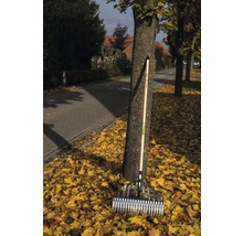 Een bladhark met houten steel leunt tegen een boom in een bed van herfstbladeren.