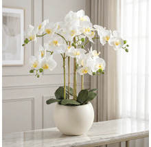 Kunstorchidee met witte bloemen in een ronde crèmekleurige pot op een marmeren tafel in een lichte kamer.