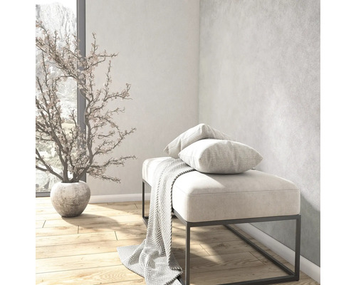 Lichte kamer met gestructureerde wandafwerking, bank met metalen frame, kussens en deken, naast een decoratieve boom op een houten vloer.