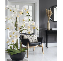 Grote kunstorchidee in zwarte pot in een modern ingerichte woonkamer met donkere fauteuil en ronde wandspiegel.