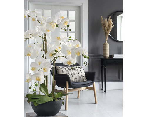 Grote kunstorchidee in zwarte pot in een modern ingerichte woonkamer met donkere fauteuil en ronde wandspiegel.