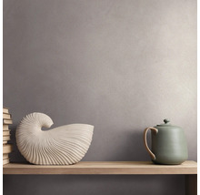 Wand met structuurafwerking, een houten wandplank, een schelpvormig sculptuur, een theepot en een stapel boeken.
