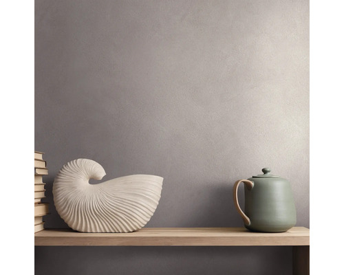 Wand met structuurafwerking, een houten wandplank, een schelpvormig sculptuur, een theepot en een stapel boeken.