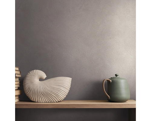 Gestructureerde muur met metallic effect achter een houten plank met een decoratieve schelp, een theepot en een stapel boeken.