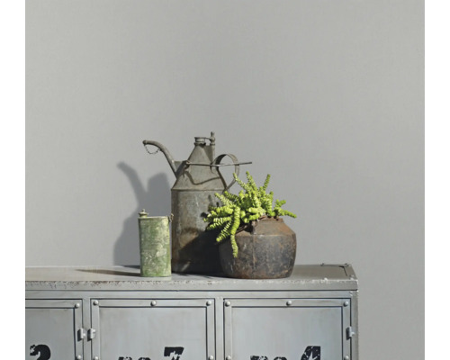 Matte grijze muurverf in een modern interieur met een industriële metalen kast en decoratie.
