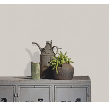 Industriële metalen kast met vintage oliekan, groene houder en vetplant in rustieke metalen pot voor een lichte muur.