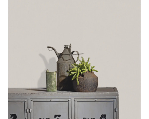 Industriële metalen kast met vintage oliekan, groene houder en vetplant in rustieke metalen pot voor een lichte muur.