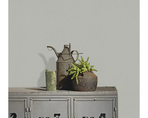 Grijs gestructureerd behang in een kamer met een industriële metalen kast en vintage decoratie.