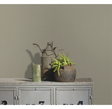 Matte muurverf op een muur achter een industriële metalen kast met rustieke decoratie en een vetplant.