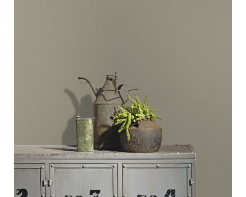 Matte muurverf op een muur achter een industriële metalen kast met rustieke decoratie en een vetplant.
