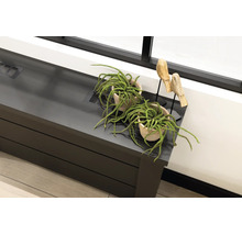 Moderne zwarte radiatorombouw met ventilatieroosters, gedecoreerd met twee hangplanten in terracotta potten en houten vogelbeeldjes.
