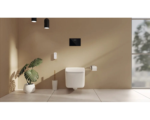 Moderne badkamer met wandcloset, bedieningspaneel, afstandsbediening, toiletborstel en Monstera-plant.