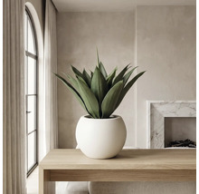 Kunstmatige agave in ronde witte pot op houten tafel in lichte, moderne kamer met marmeren haard en boograam.