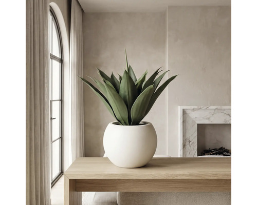 Kunstmatige agave in ronde witte pot op houten tafel in lichte, moderne kamer met marmeren haard en boograam.