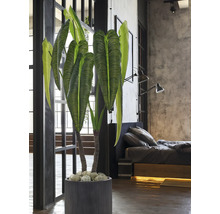 Grote kunstplant met geribbelde bladeren in een grijze pot met verticale groeven in een moderne slaapkamer in industriële stijl.