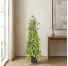 Kunstplant in een zwarte pot, staand in een lichte, modern ingerichte kamer met een houten vloer.