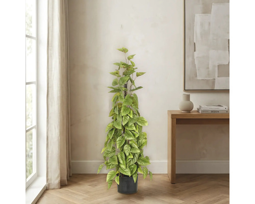 Kunstplant in een zwarte pot, staand in een lichte, modern ingerichte kamer met een houten vloer.