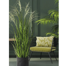 Kunstgrasplant in een zwarte geribbelde pot naast een moderne fauteuil in een groene woonruimte.