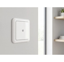 Witte blindplaat met centrale schroef gemonteerd op een muur.