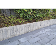 Betonnen palissaden als border tussen een bestraat pad en een tuin met struiken.
