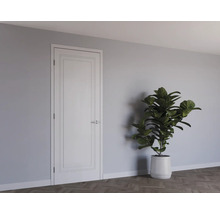 Witte binnendeur in klassiek design met paneeldecoratie in een moderne kamer naast een grote kamerplant.