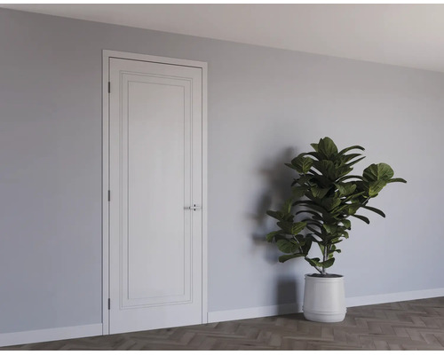 Witte binnendeur in klassiek design met paneeldecoratie in een moderne kamer naast een grote kamerplant.