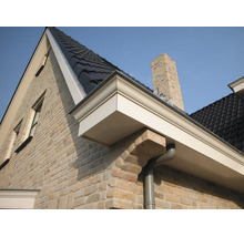 Detailweergave van een dakrand met wit dakoverstek, zwarte dakpannen, bakstenen gevel en grijze regenpijp.
