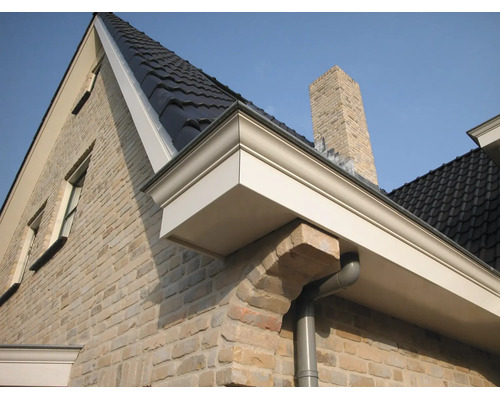 Detailweergave van een dakrand met wit dakoverstek, zwarte dakpannen, bakstenen gevel en grijze regenpijp.