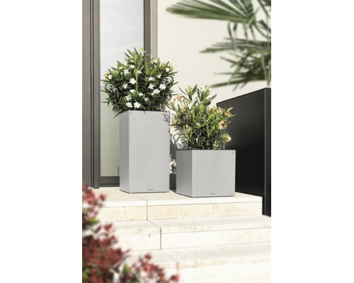 Twee grijze plantenbakken met steeneffect en witte bloemen op lichte stenen trappen in een moderne buitenruimte.