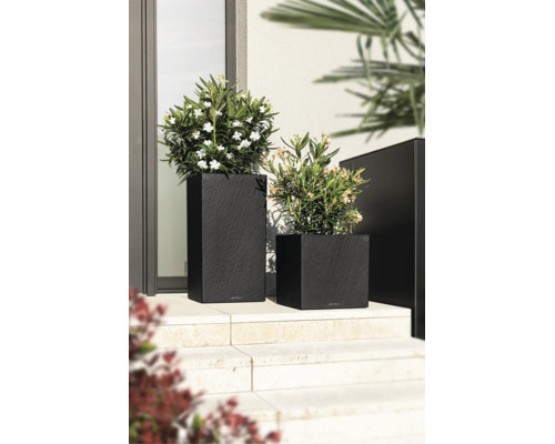 Twee antracietkleurige plantenbakken met leisteenstructuur op een buitentrap met groene planten en witte bloemen.