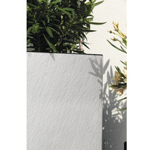 Lechuza plantenbak met steenstructuur, beplant met een oleander en voorzien van een watermeter.