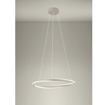 Moderne LED-hanglamp in ringvorm met kabelophanging voor plafondmontage.