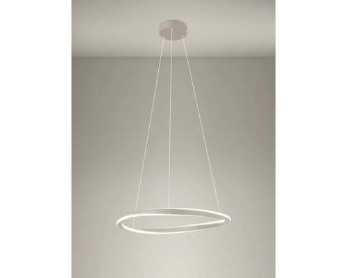 Moderne LED-hanglamp in ringvorm met kabelophanging voor plafondmontage.