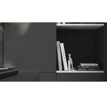 Modern antracietkleurig rek met witte planken, gedecoreerd met boeken en een wit decoratief beeldje in minimalistische stijl.