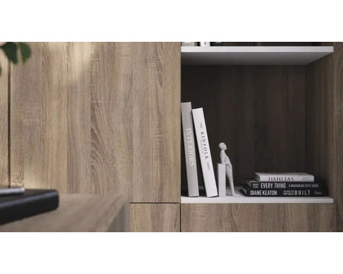Detailopname van een houten kast met een donker schapvak met boeken en een beeldje, voorzien van een lichte houtnervenstructuur.