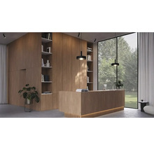 Moderne ontvangstruimte met houten balie, inbouwkasten, zwarte hanglampen, kamerplanten en kamerhoog raam met uitzicht op de tuin.