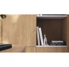 Detailweergave van een plank in eikenlook met boeken en een decoratief figuurtje in een vak.