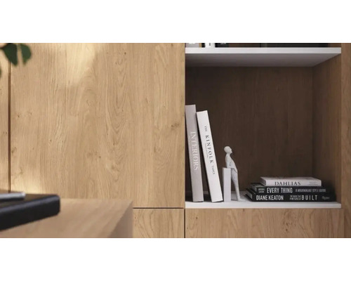 Detailweergave van een plank in eikenlook met boeken en een decoratief figuurtje in een vak.