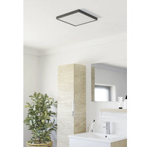 Moderne badkamer met een vierkante plafondlamp, een slanke kolomkast met houtlook, een witte wastafel en een kamerplant.