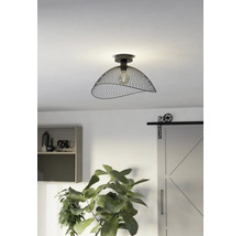 Industriële plafondlamp met een zwarte metalen gaaskap en zichtbare lichtbron in een moderne kamer met plant en schuifdeur.
